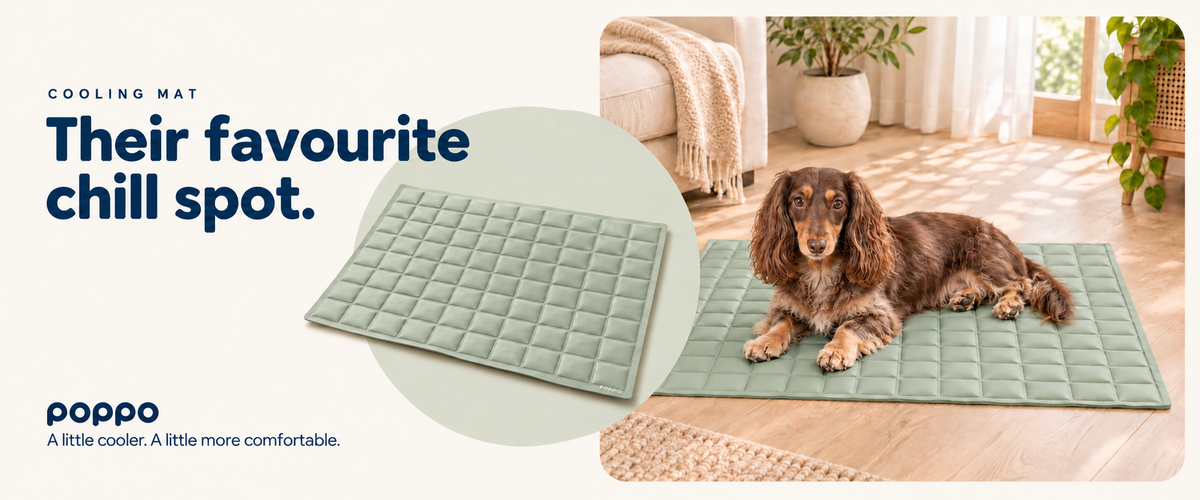 Cooling Mat — Their favourite chill spot. Sage Green mat detail and Mocha resting at home.