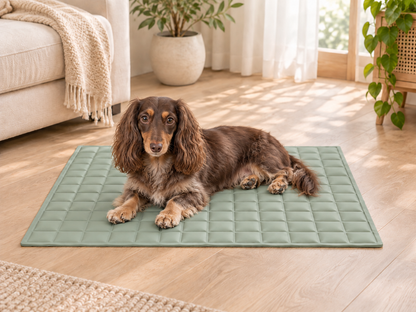 POPPO Cooling Mat - Sage Green - lifestyle illustration